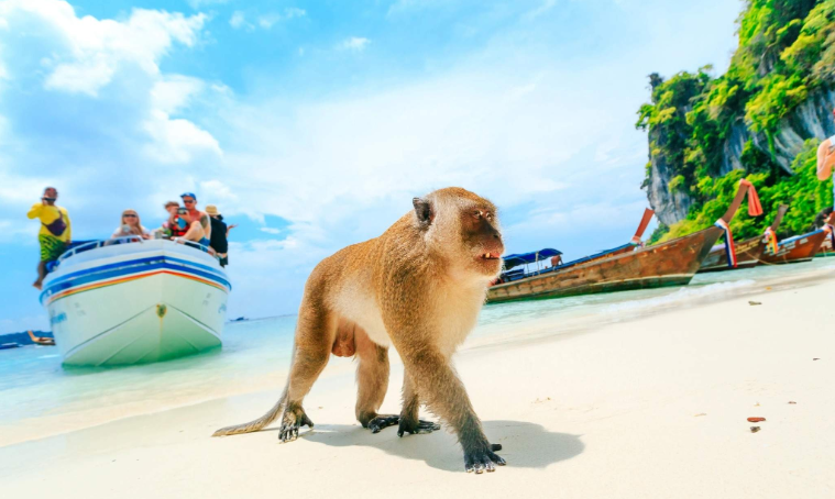 202601091049-3415639646.png image.png