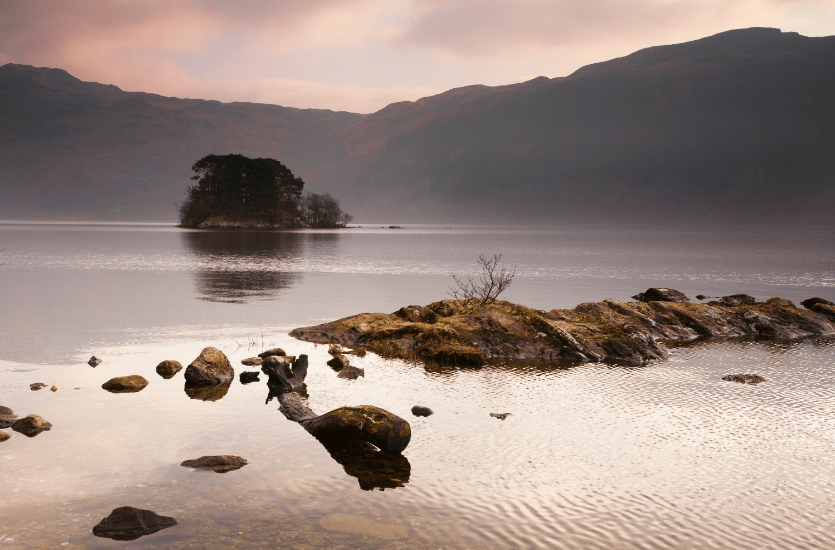 202601091146-9712050256.png image.png