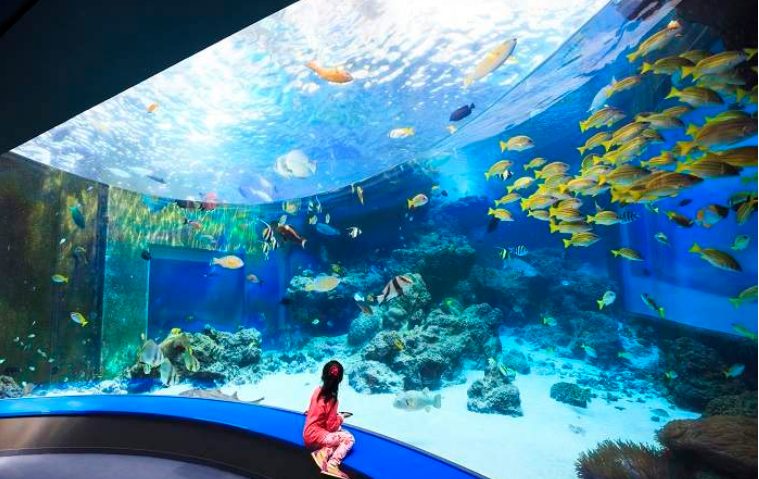 202601091322-9118039964.png image.png