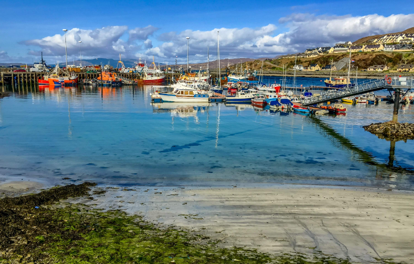 202601091422-4604301036.png image.png