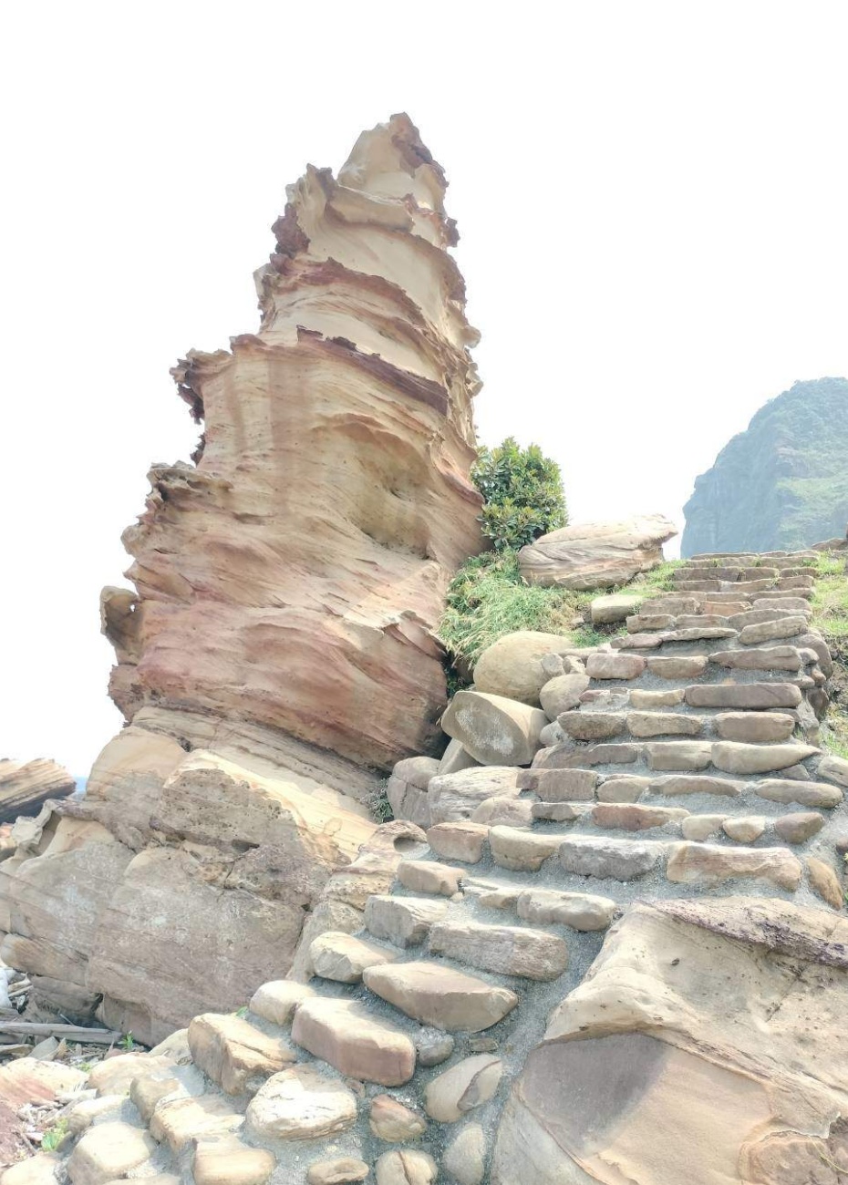 202601111455-2047676816.jpg undefined.jpg