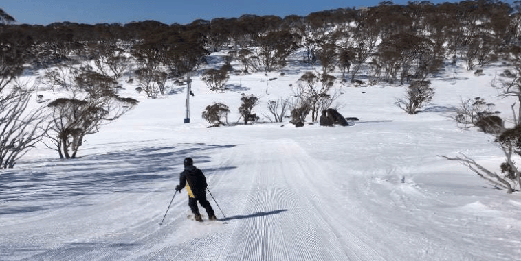 202601120926-3286980055.png image.png