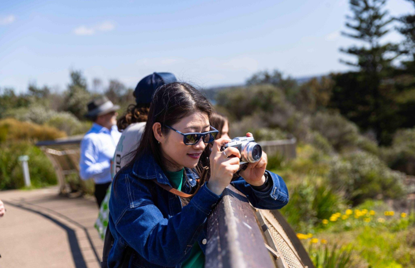 202601130910-9709922499.png image.png