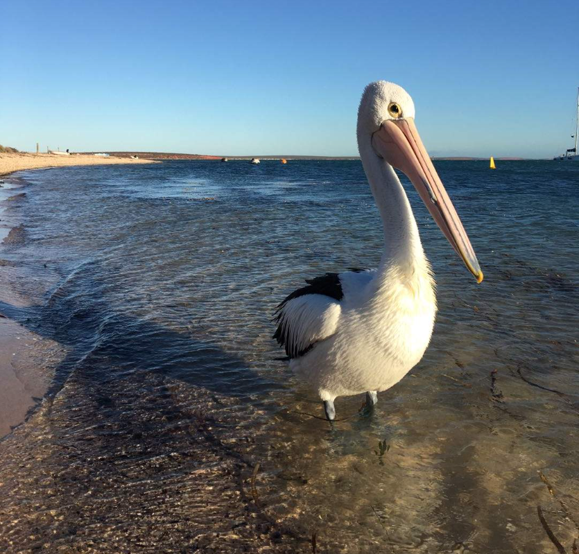 202601130950-6346969986.png image.png