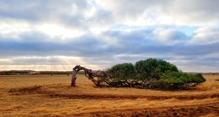 202601130956-3497332354.png image.png