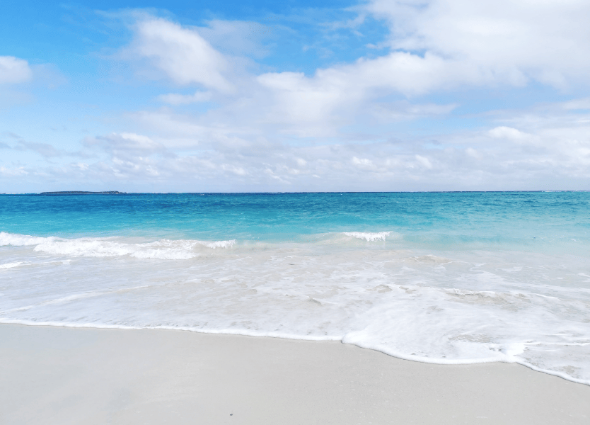 202601130956-9164601868.png image.png