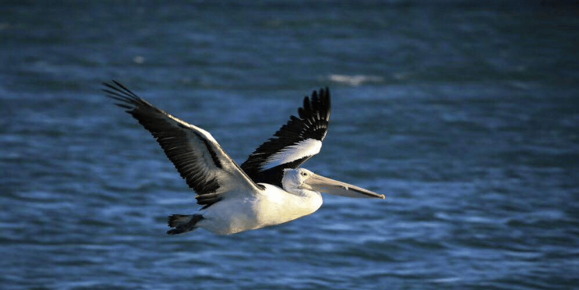 202601130957-8793636493.png image.png