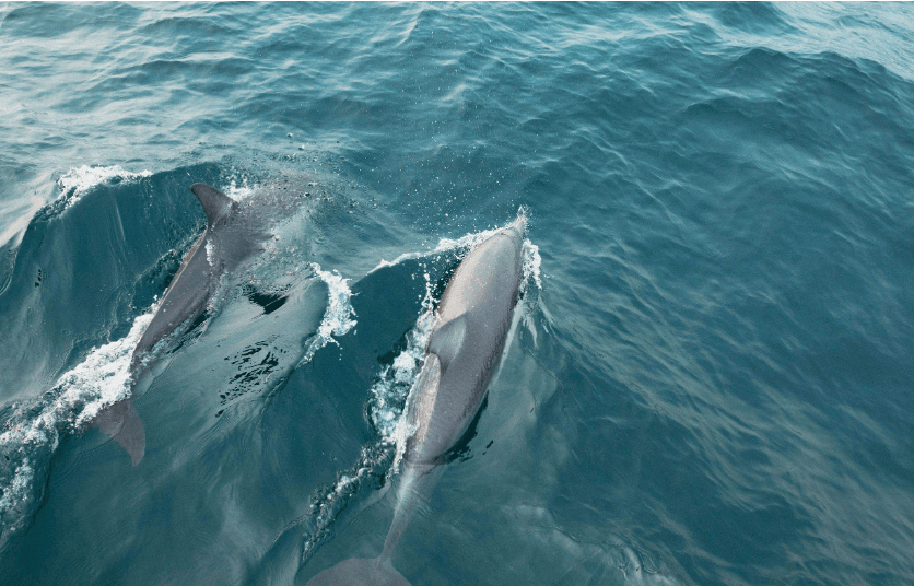 202601131133-1132655509.png image.png