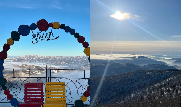 202601131449-1129637938.png image.png