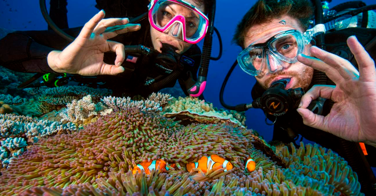 202601140945-5254369649.png image.png