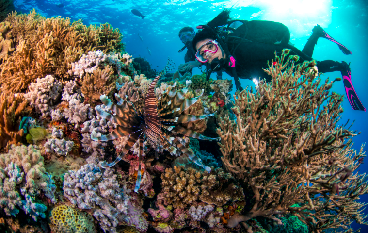 202601140945-8283226381.png image.png