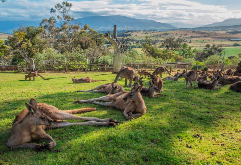 202601141049-7063939280.png image.png