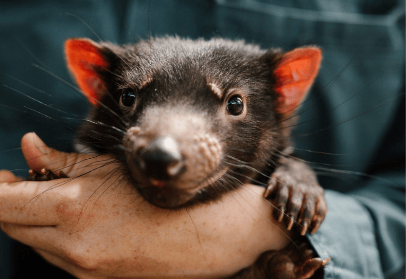 202601141054-2636812552.png image.png