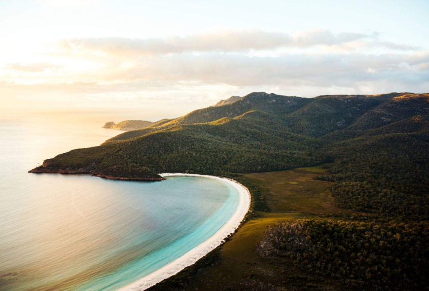 202601141055-6095865067.png image.png