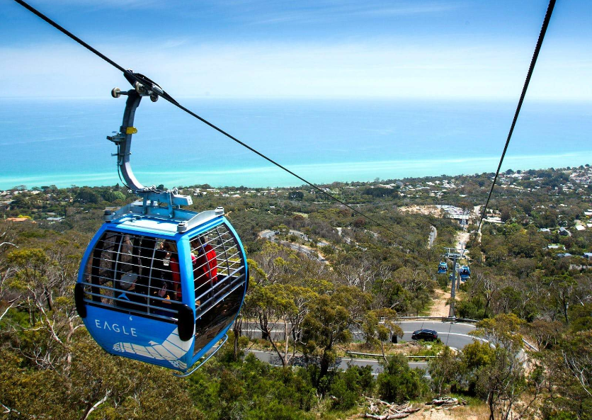 202601141109-6230978422.png image.png