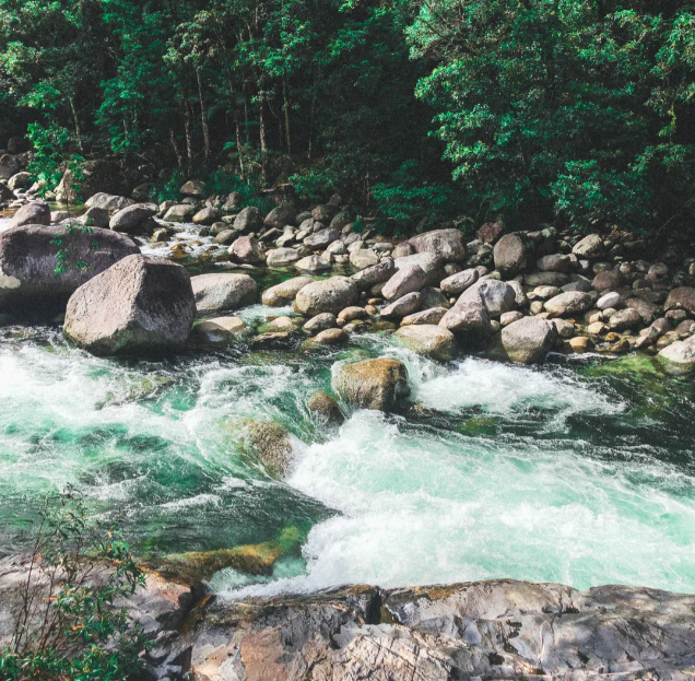 202601141411-1866789960.png image.png