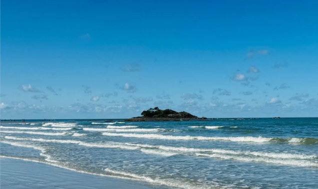 202601141412-4496093261.png image.png