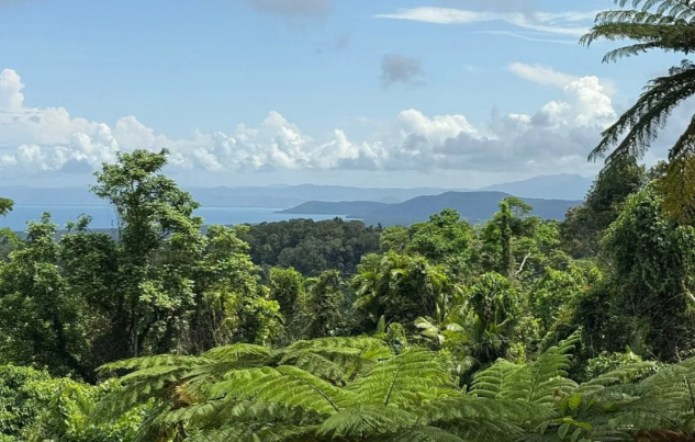 202601141412-7029333256.png image.png