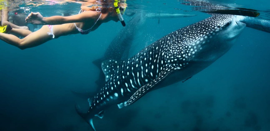 202601141451-8612624579.jpg undefined (1).jpg