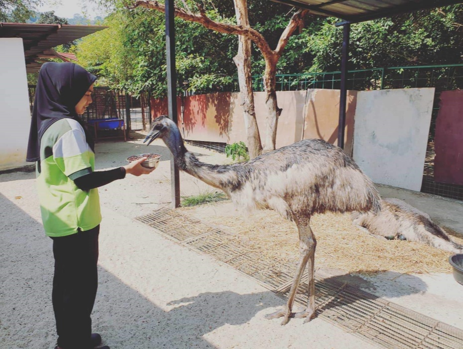 202601141624-1515311653.jpg 930-5.jpg