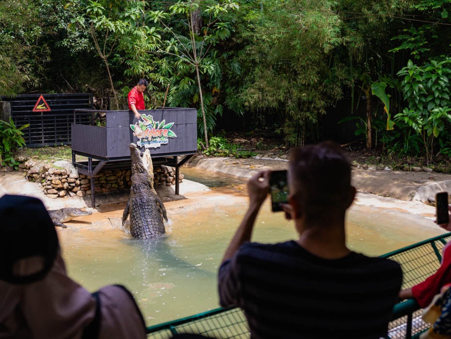 202601141624-4315370252.jpg 930-3.jpg