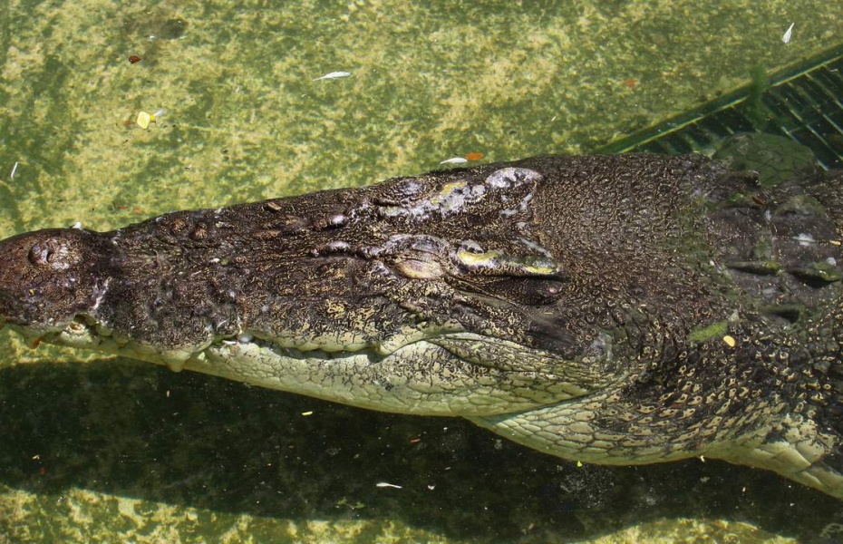 202601141649-1780804612.jpg undefined (2).jpg