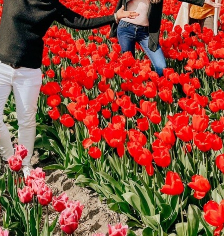 202601151327-1848123399.jpg 202601151145-nw18wjyk1a.jpg