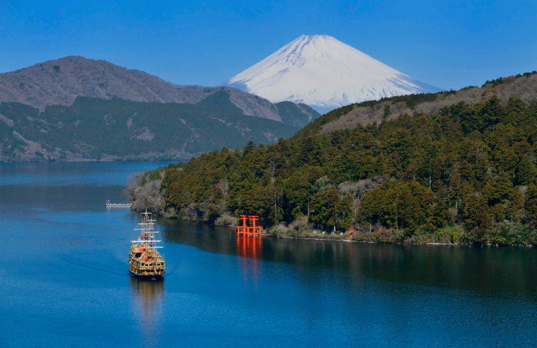 202601151330-3519533929.png image.png