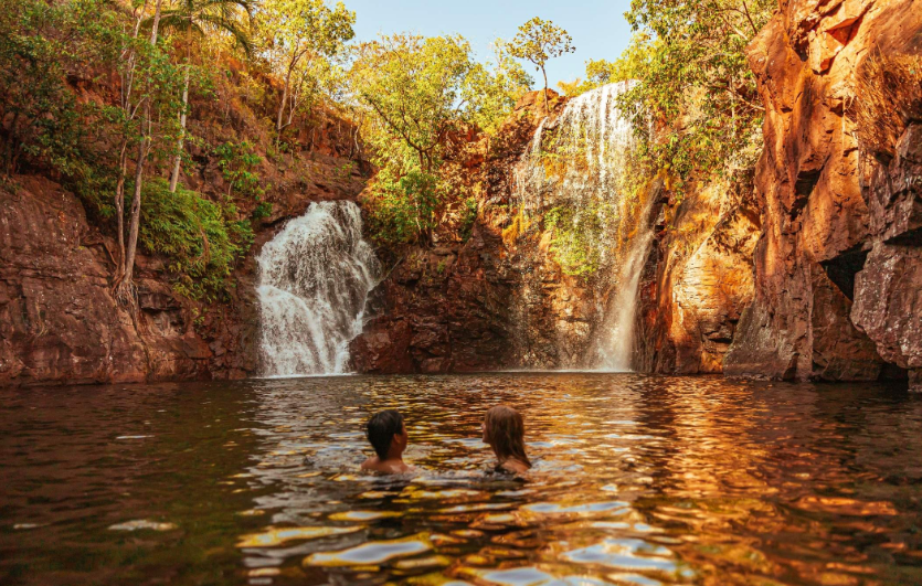 202601161537-2939052348.png image.png