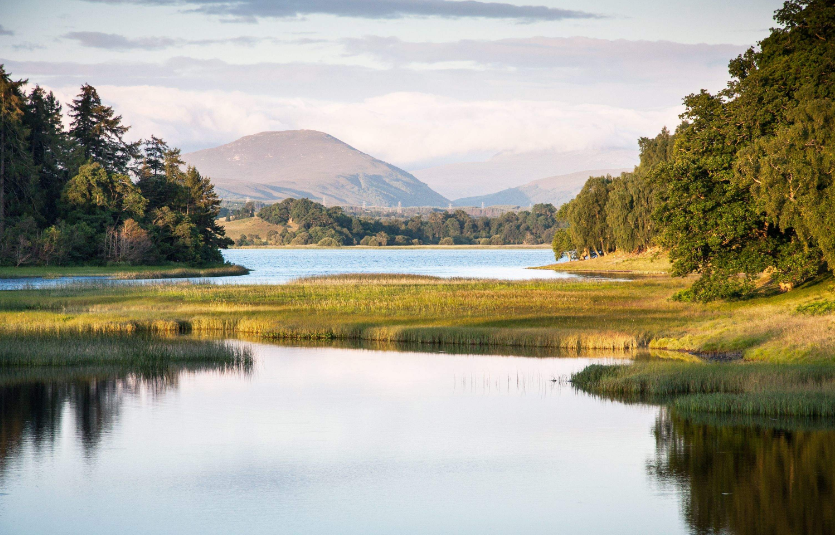 202601221128-3718103208.png image.png