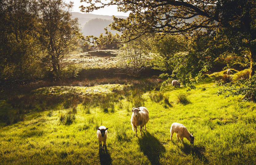 202601221415-1542633157.png image.png