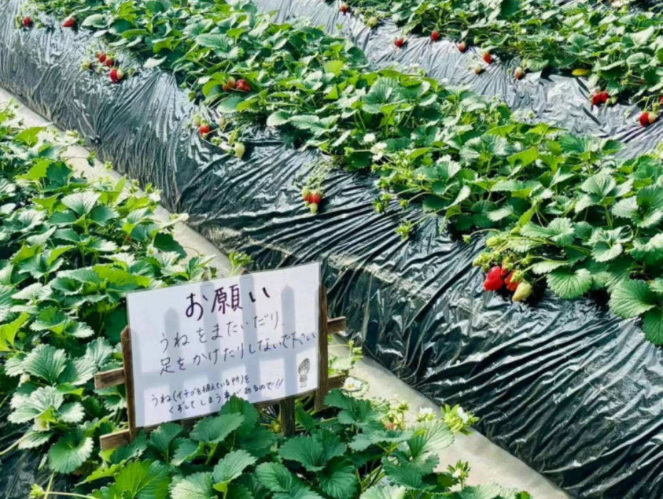 202601230956-9717724408.png 企业微信截图_17690670361338.png