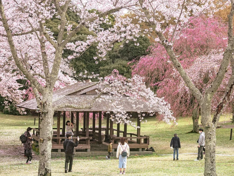 202601230957-4830241621.png 企业微信截图_17690680361992.png