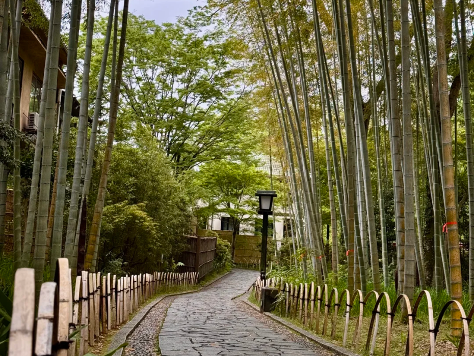 202601231003-4600948966.png 企业微信截图_17691336096379.png