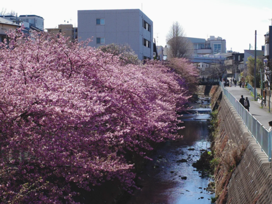 202601231004-5087491501.png 企业微信截图_17691329055973.png