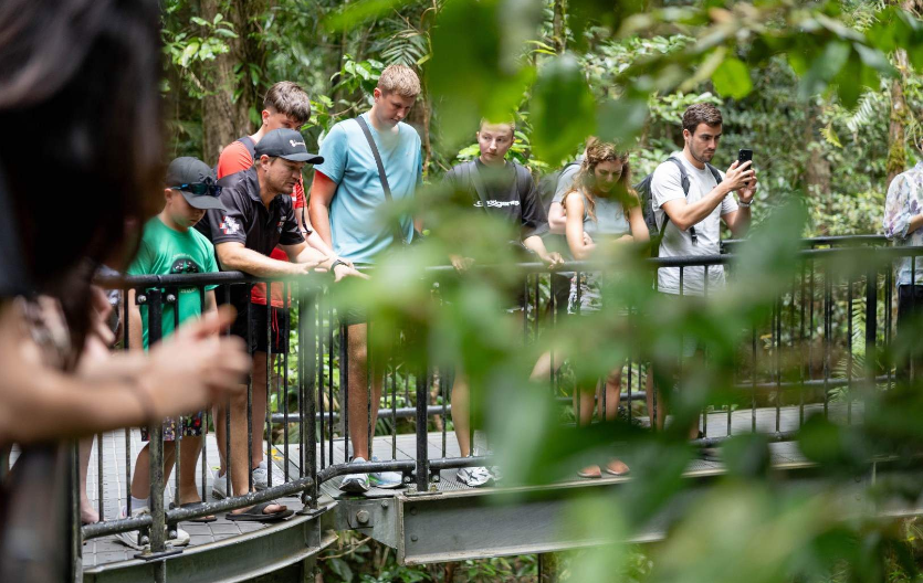 202601231043-3945336759.png image.png