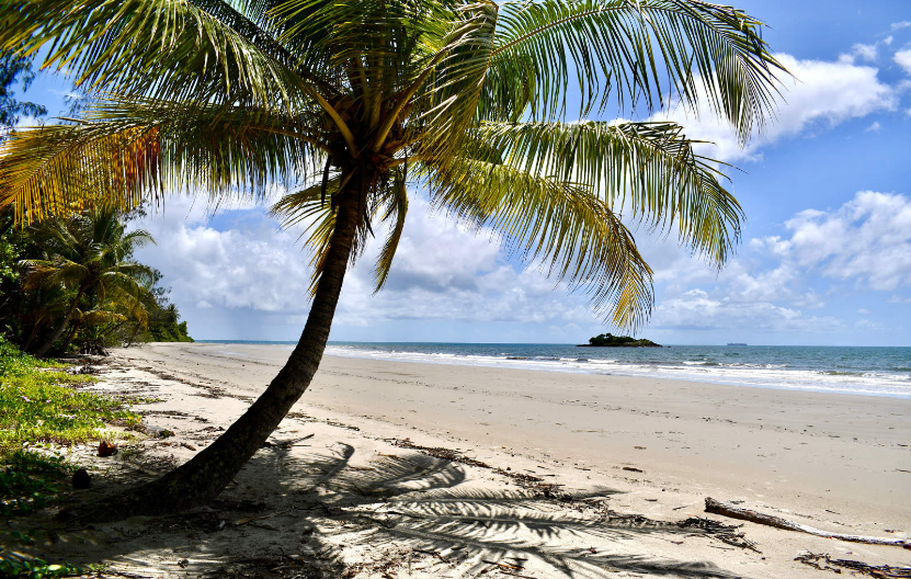 202601231045-1723522576.png image.png