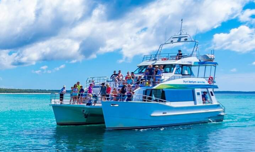 202601231052-3684059281.png image.png