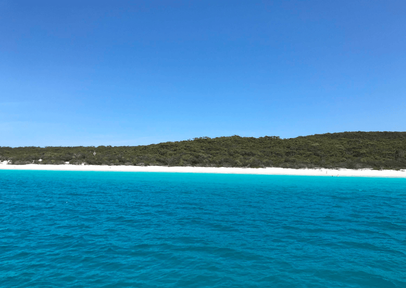 202601231053-8220632198.png image.png