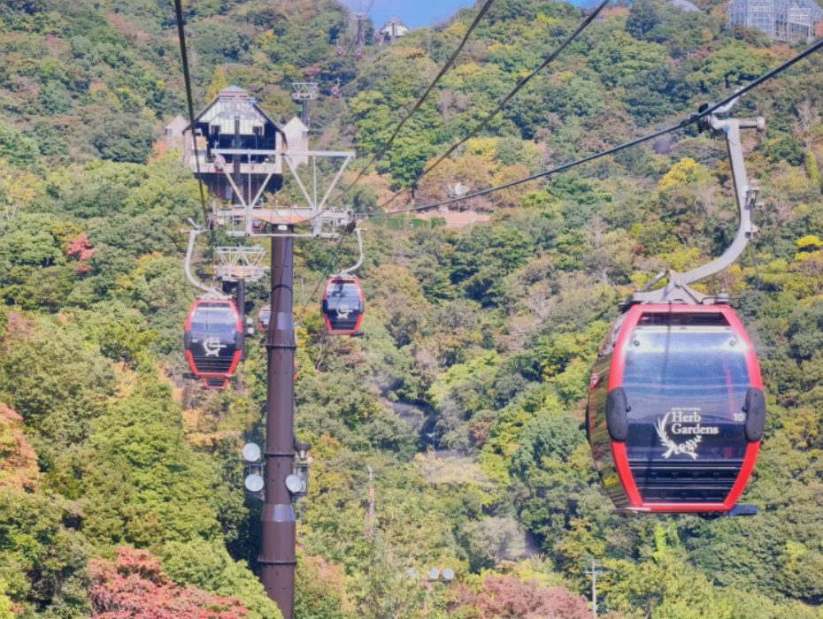 202601231125-5055605747.png 企业微信截图_17691378103242.png