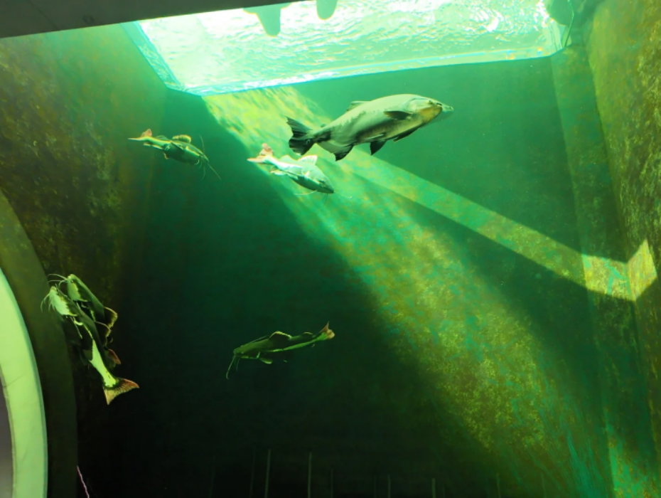 202601231126-8265243290.png 企业微信截图_17691380424238.png