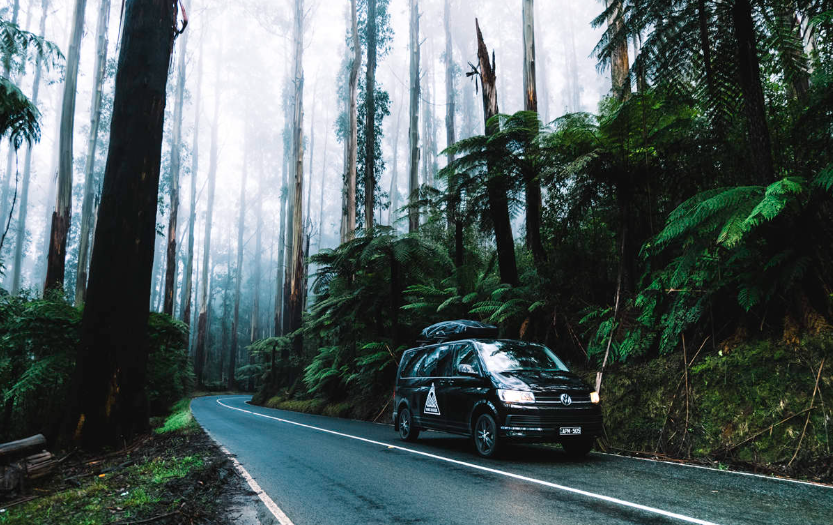 202601231320-8026926341.png image.png