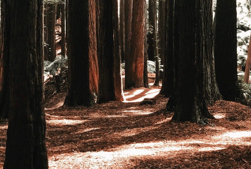 202601231321-7328389112.png image.png