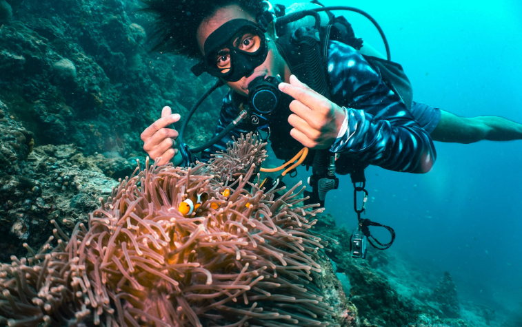 202601231435-3571081122.png image.png