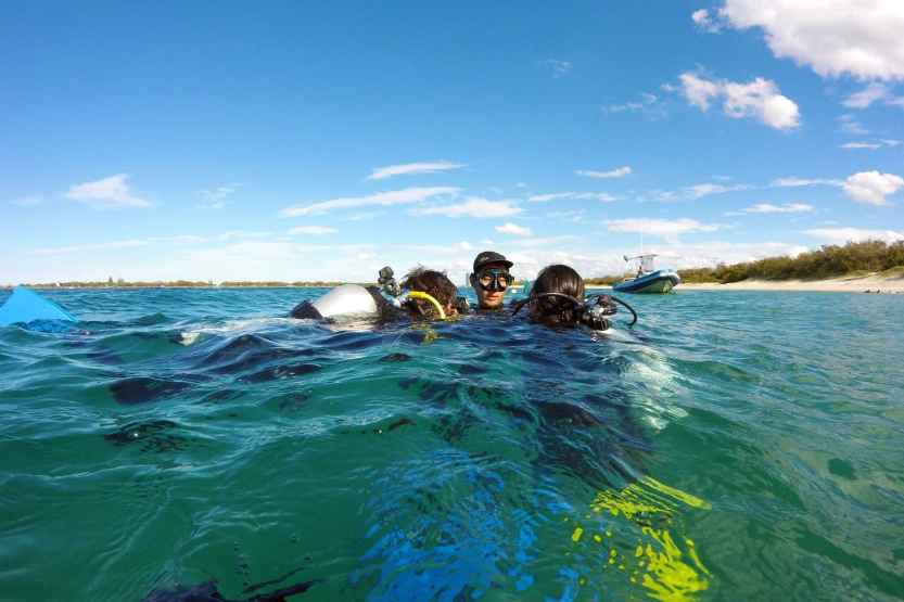 202601231559-6872972554.png image.png