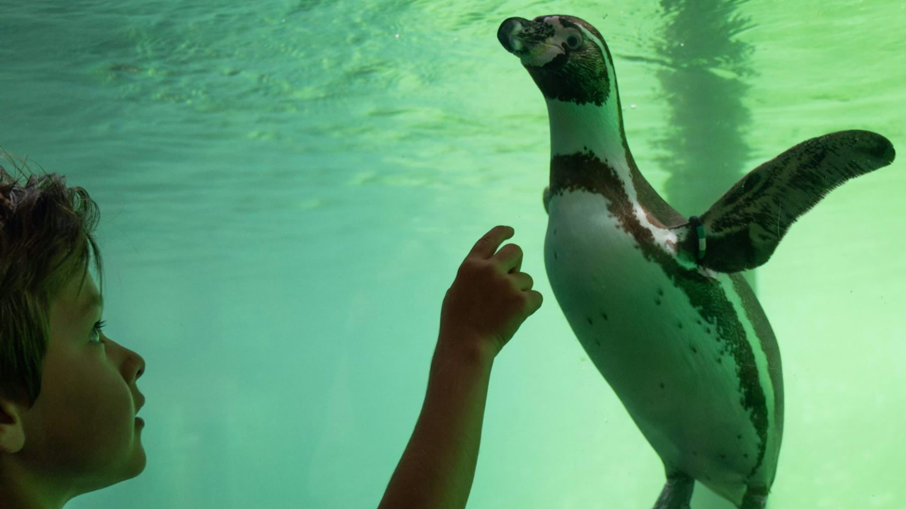 202601231619-8622711562.jpg 202601231619-8622711562.jpg