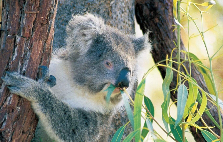 202601260956-4319076137.png image.png