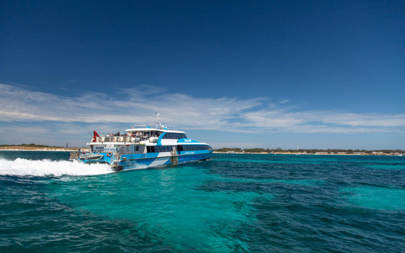 202601261144-4016212898.png image.png