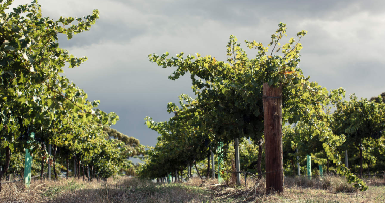 202601261358-4581375368.png image.png