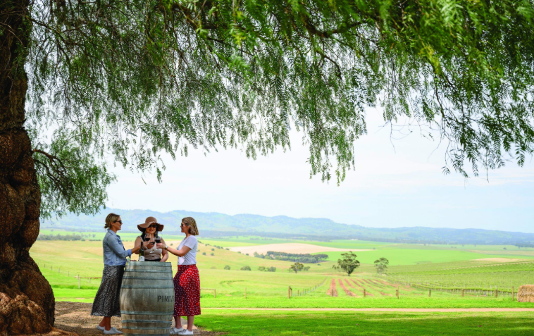 202601261359-6734825626.png image.png